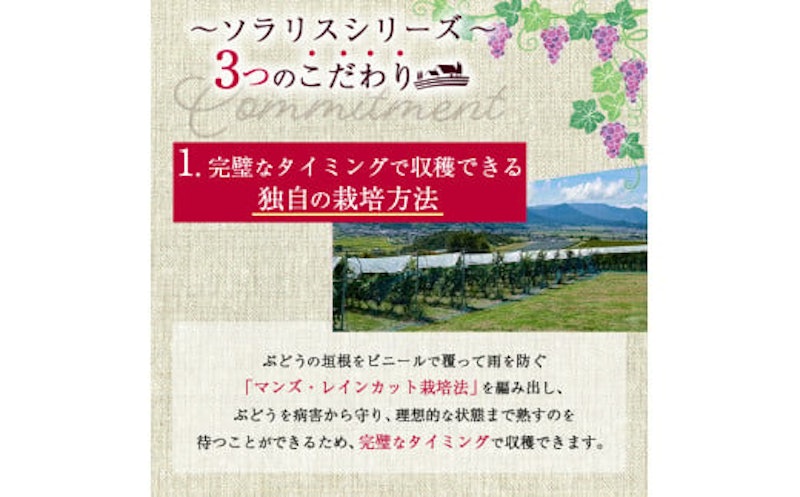 ソラリス ラ・クロワ 5