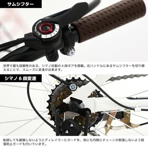 20インチ ミニベロ 小径車 サムシフター 外装6段ギア