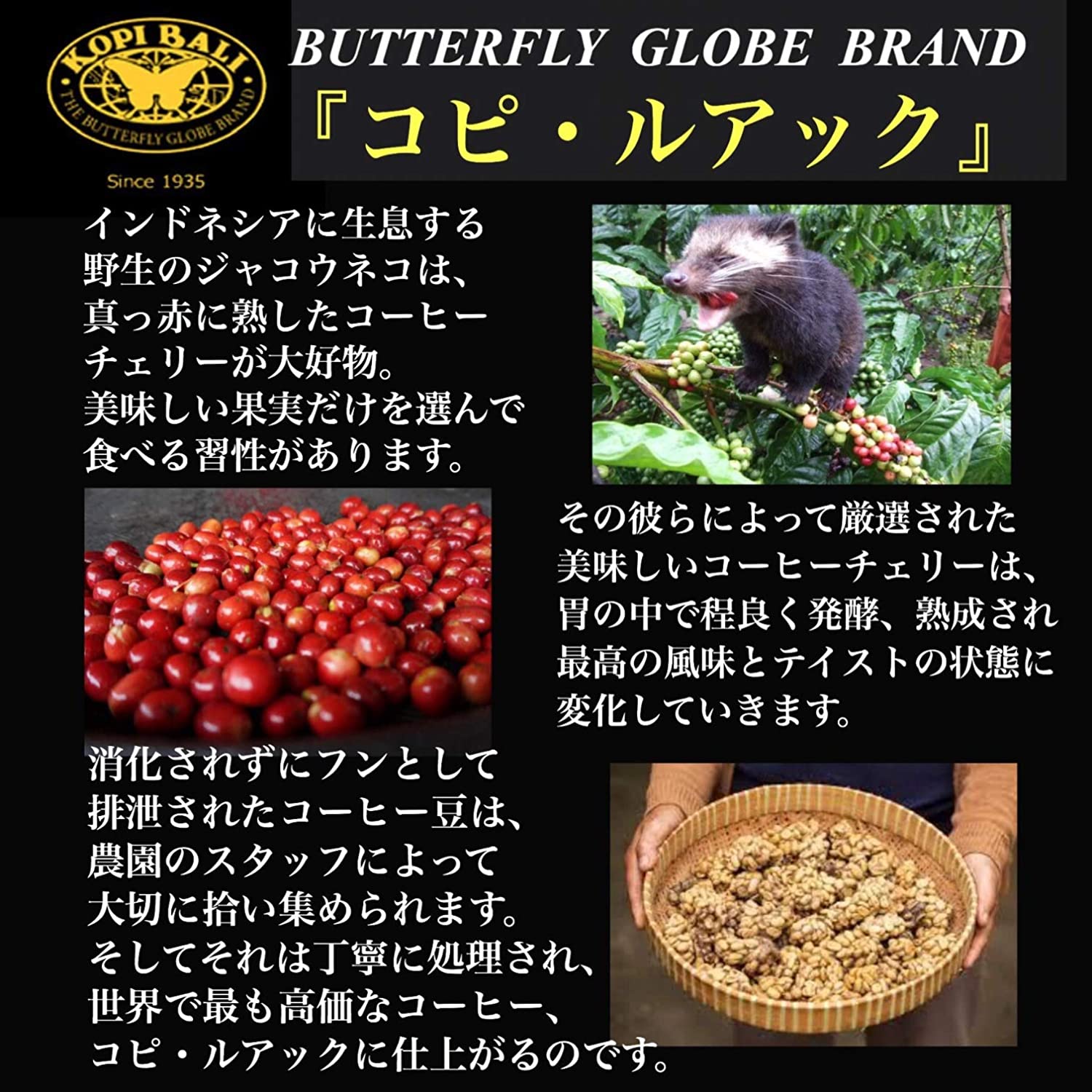 KOPI LUWAK 4
