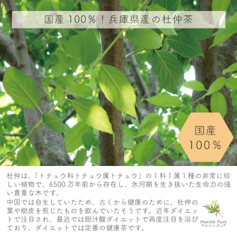 マルシェピュア 杜仲茶 3