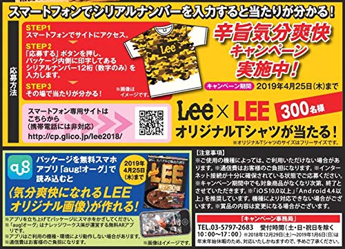 ビーフカレーLEE辛さ×30倍 2