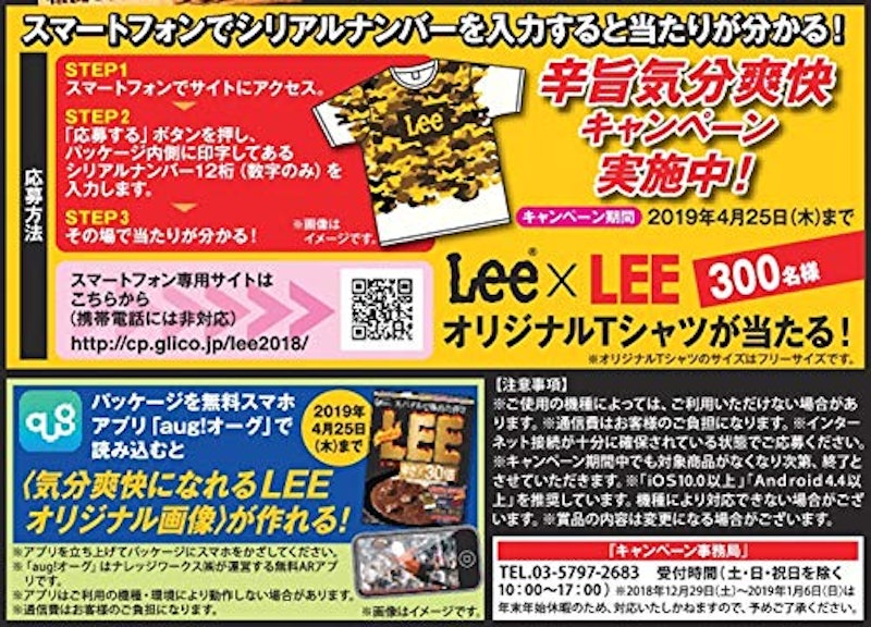 ビーフカレーLEE辛さ×30倍 2