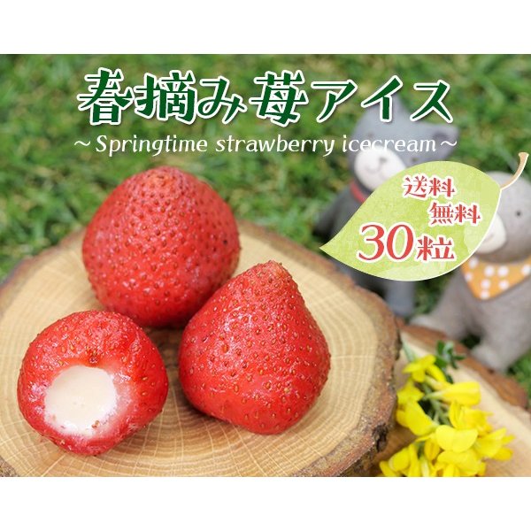 21年 ギフト用アイスクリームのおすすめ人気ランキング10選 Mybest