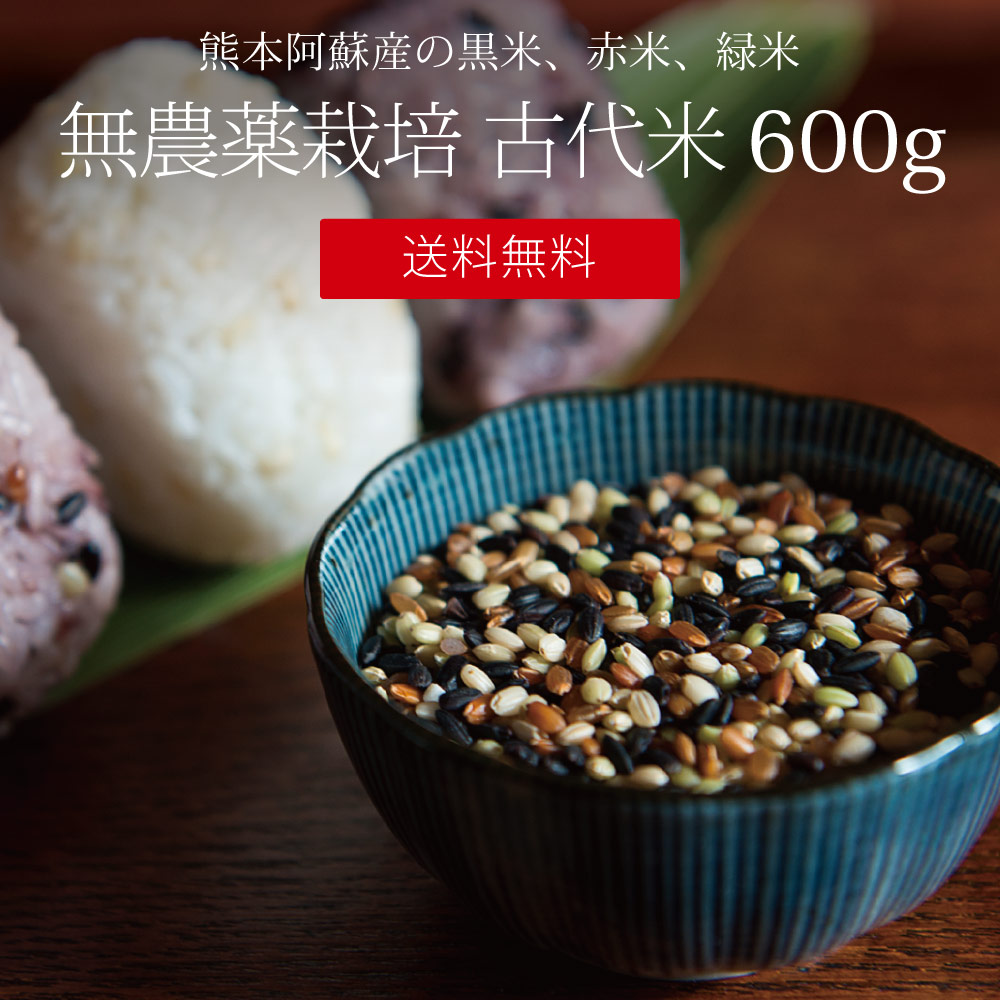 無農薬栽培 古代米 1