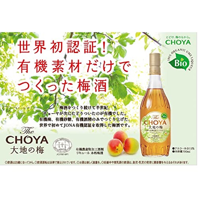 大地の梅 3