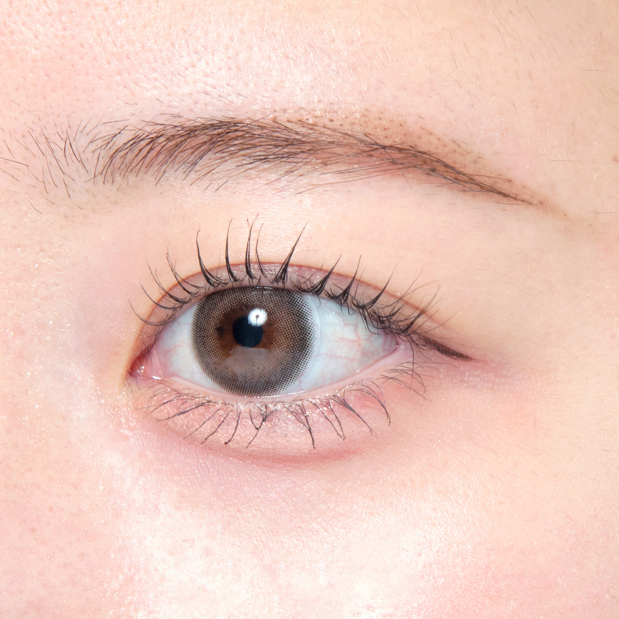 ルナソル スタイリングアイゾーンコンパクト 01 Natural Brownを