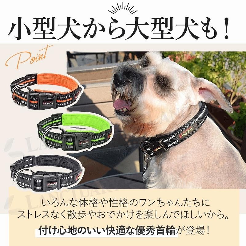 ペット首輪 4