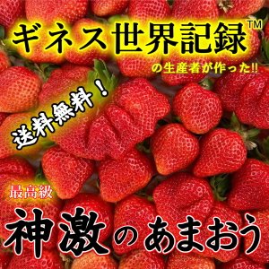 21年 贈答用いちごのおすすめ人気ランキング10選 Mybest