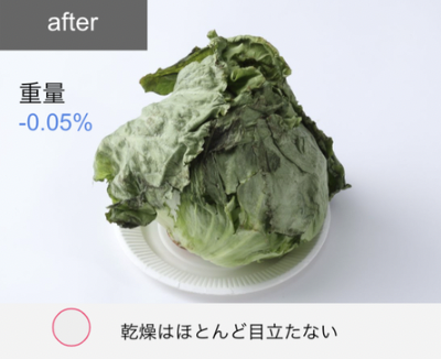 プラズマクラスター冷蔵庫 17