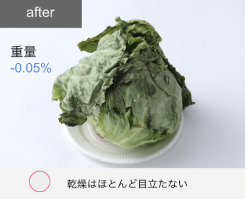 プラズマクラスター冷蔵庫 17