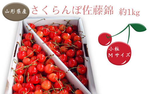 秀品 さくらんぼ佐藤錦 1