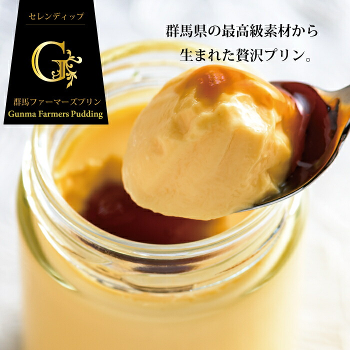 群馬ファーマーズプリン リッチバニラ 2