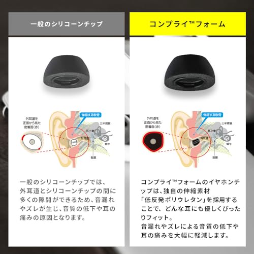 Apple AirPods Pro イヤーピース 6