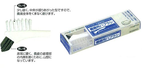 義歯用ブラシ 2