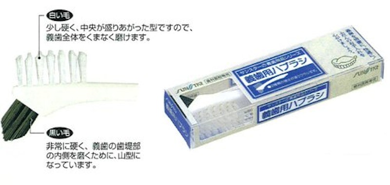 義歯用ブラシ 2