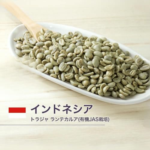 生豆 セット 3
