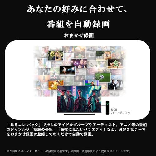 ハイビジョン液晶レグザ 11