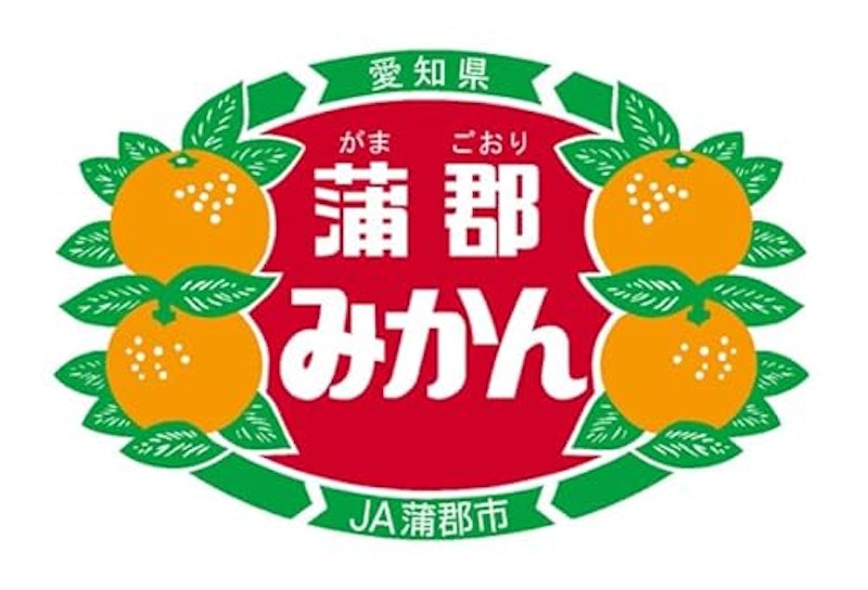 蒲郡温室みかんM秀品 12玉 2
