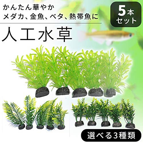 水草 人工 5本セット 2