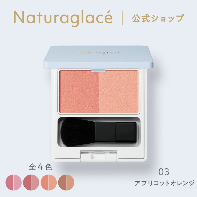 チークブラッシュN 1