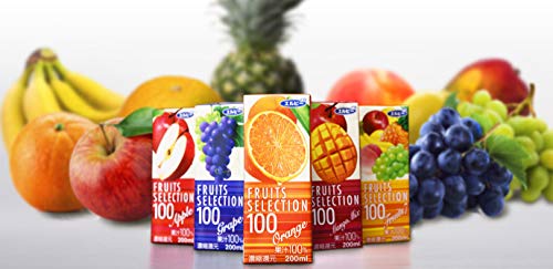 FRUITS SELECTION  オレンジ100 5