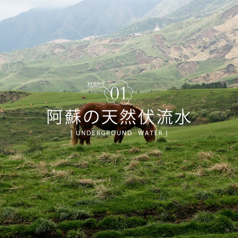 選べるフルーツジュレセット  4