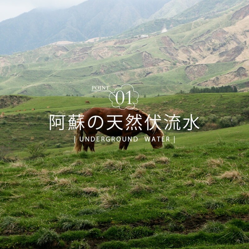 選べるフルーツジュレセット 4