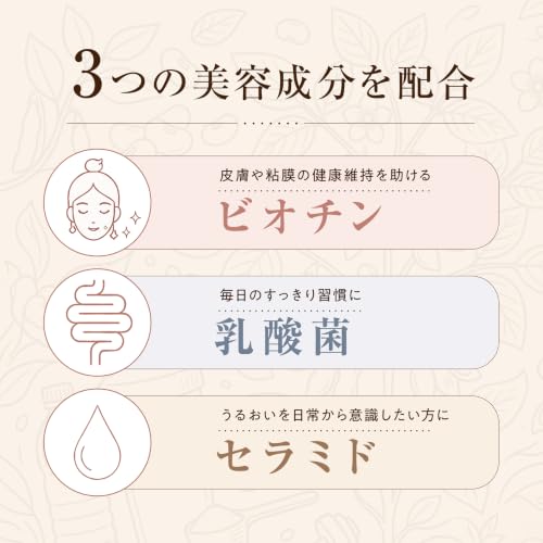 SOY PROTEIN ヘーゼルナッツバニラ風味 4