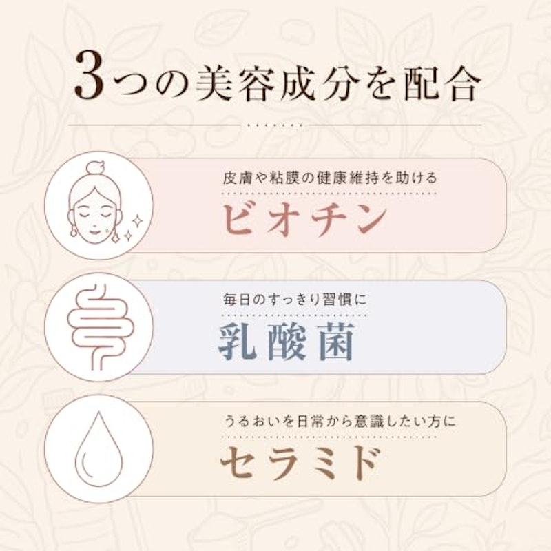 SOY PROTEIN ヘーゼルナッツバニラ風味 4