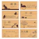 Anvis 表札 1