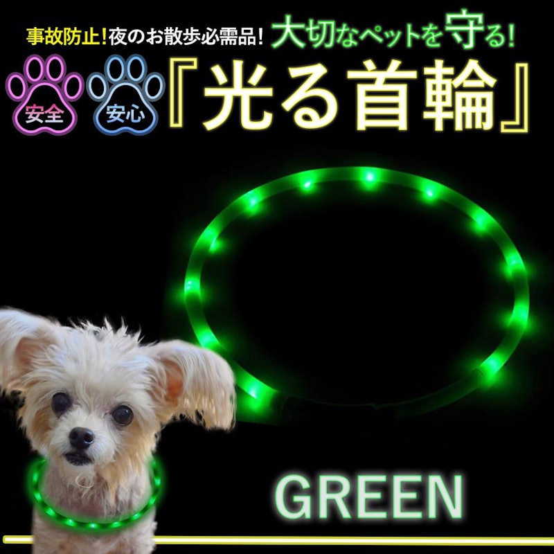 光る首輪 5