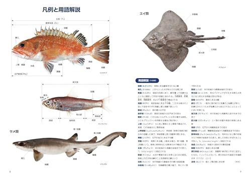 アクアリウムシリーズ 他　魚類図鑑 7冊セット アクアリウムシリーズ 他 魚類図鑑 7冊セット アクアリウムシリーズ 他