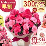 母の日向けカーネーションのおすすめ人気ランキング【人気の品種は?2026年】 4
