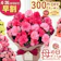 日本花キ流通 カーネーション 1