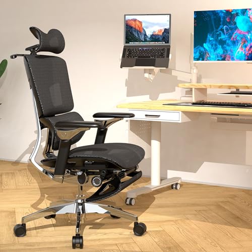 Rasical Chair Elite 2