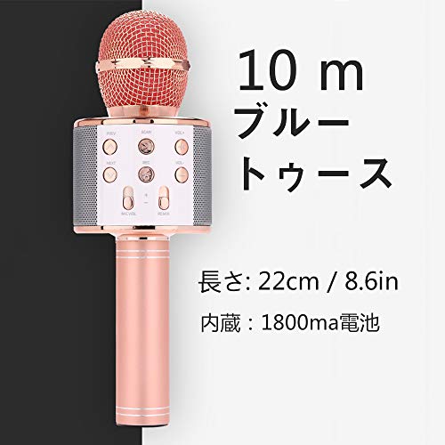 LEO WAY カラオケマイク Karaoke Bluetooth ブルートゥースワイヤレス