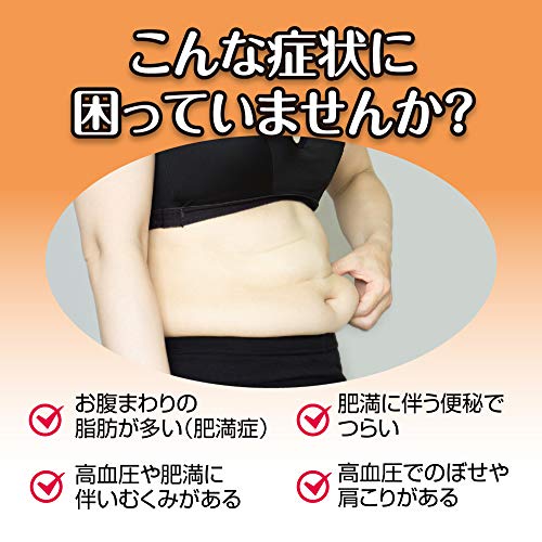 新・ロート防風通聖散錠T 2