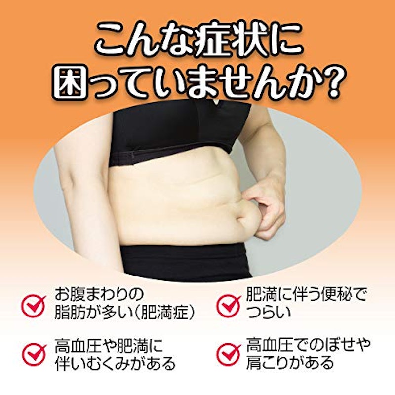 新・ロート防風通聖散錠T 2