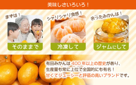 温州みかん 4