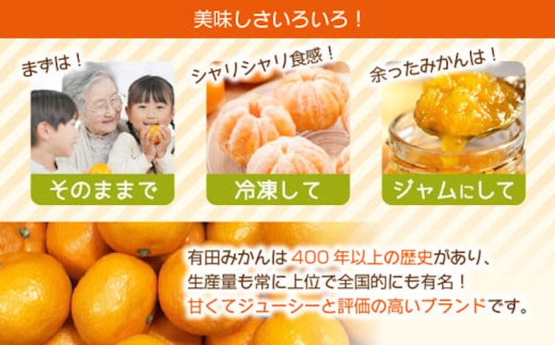 温州みかん 4