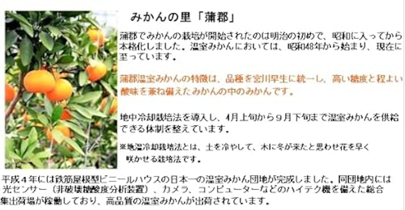 蒲郡温室みかんMサイズ 5kg 2