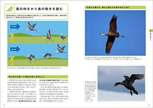 図解でわかる野鳥撮影入門  5