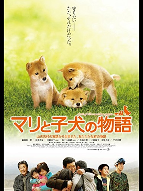 マリと子犬の物語 1