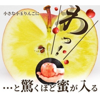 蜜入りりんご高徳 ギフトBOX入 2