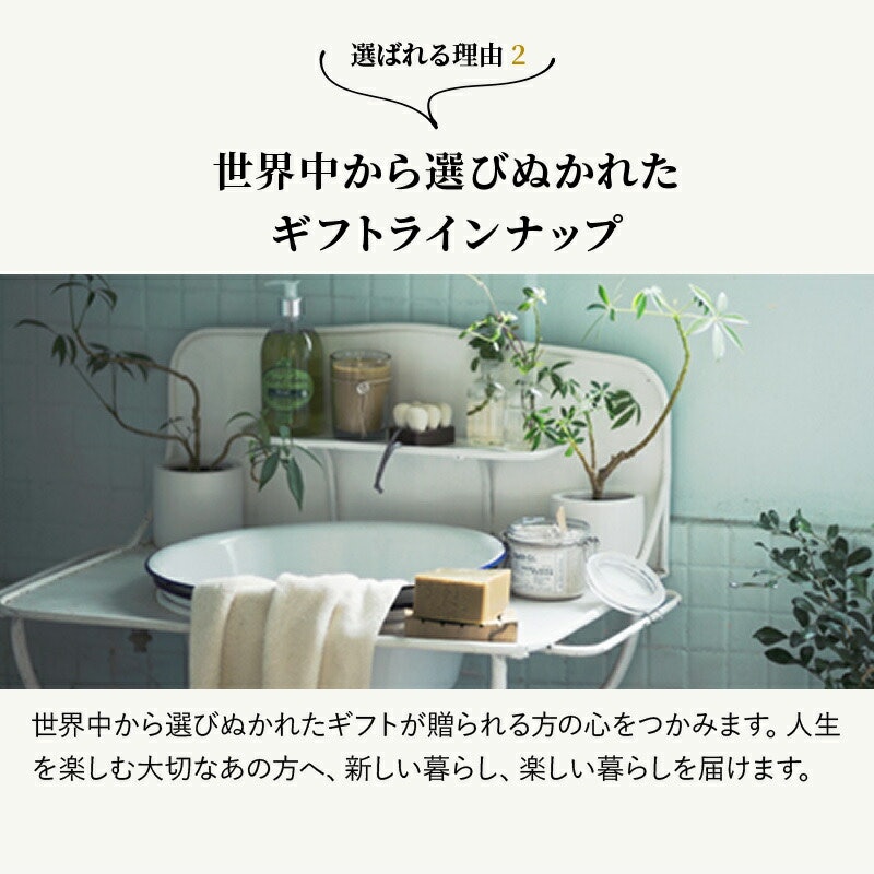 グレープ 3