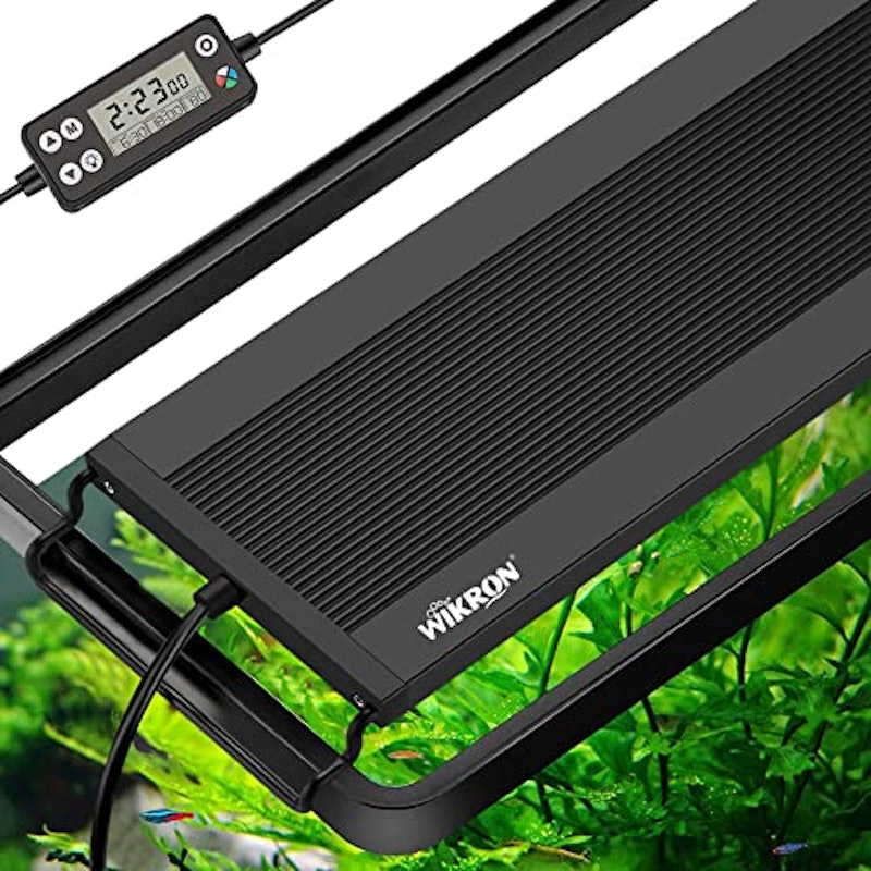 22年 水槽用ライトのおすすめ人気ランキング37選 Mybest 22年 水槽用ライトのおすすめ人気ランキング37選 Mybest