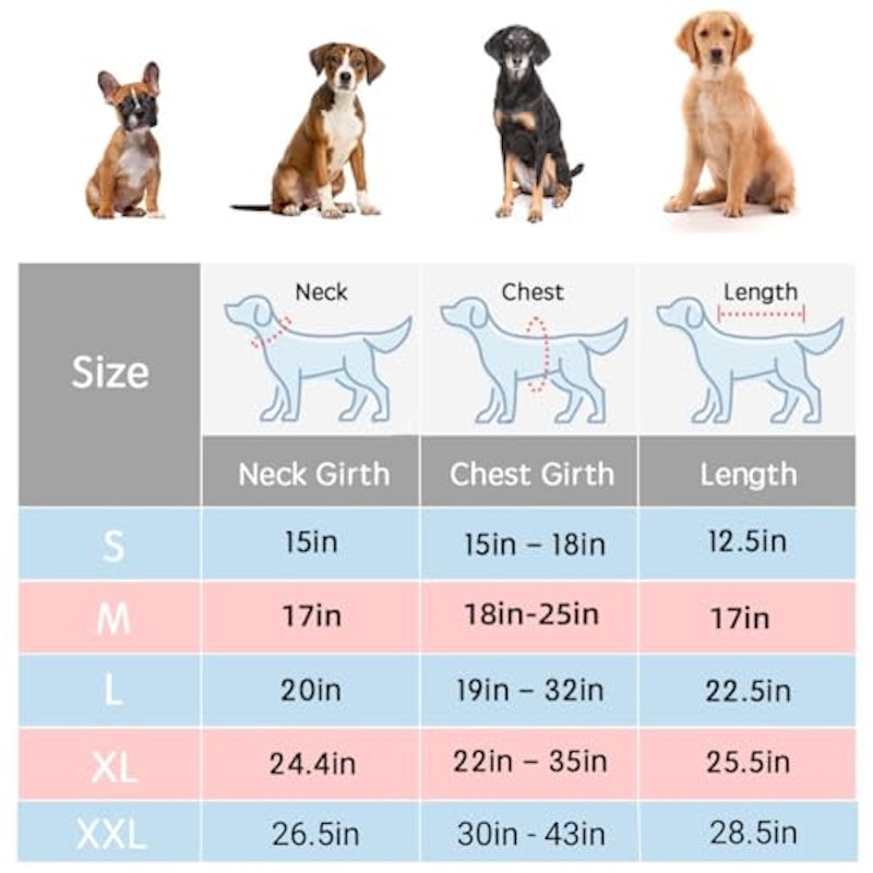 犬用レインコート 6
