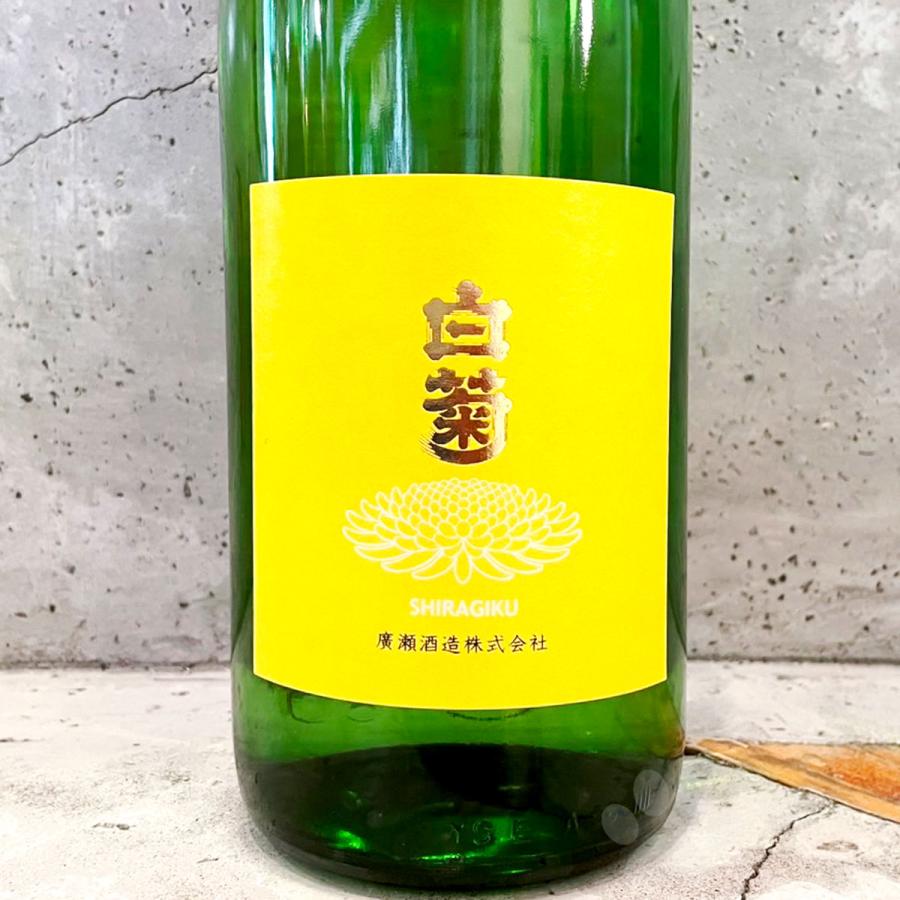 白菊 にじのきらめき60 2