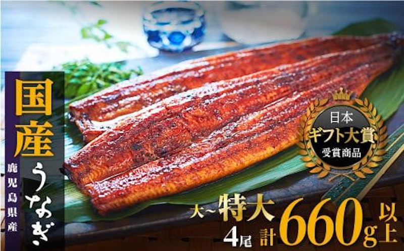 鹿児島県産 うなぎ長蒲焼 1