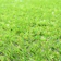 山善 人工芝 1